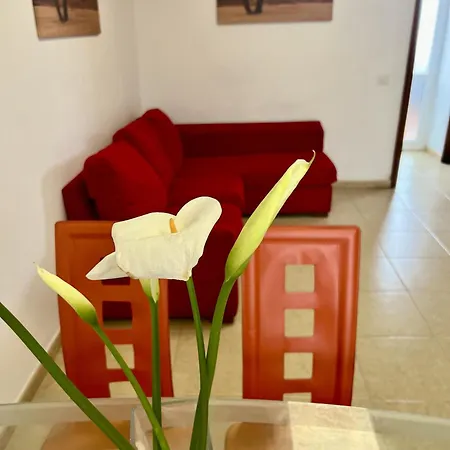 Chc - Grazia * Buenavista Del Norte