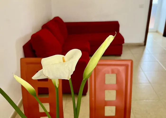 Chc - Grazia * Buenavista Del Norte