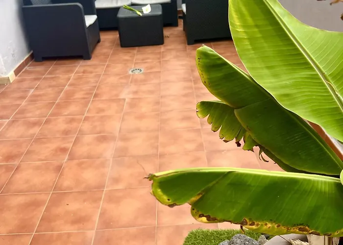 Chc - Grazia * Buenavista Del Norte